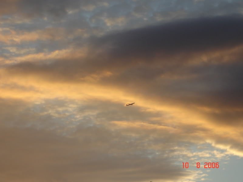 DSC01367-1.jpg