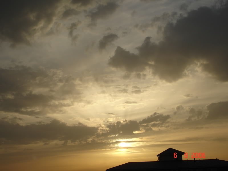 DSC01563-1.jpg