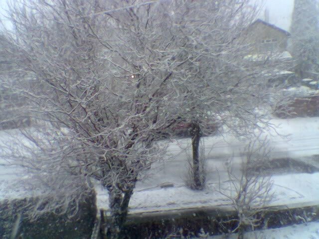 Image025-2.jpg