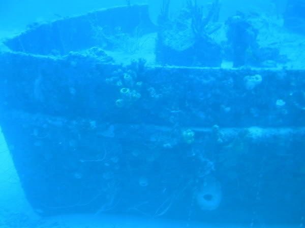P1010018-2.jpg