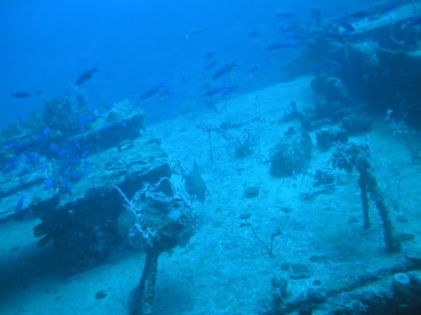 P1010019-2.jpg