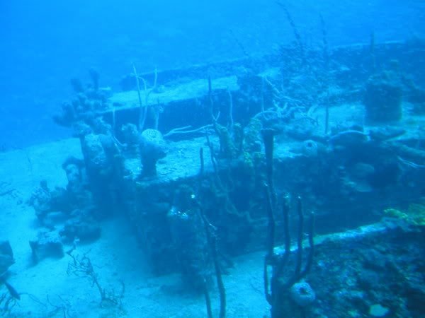 P1010020-2.jpg