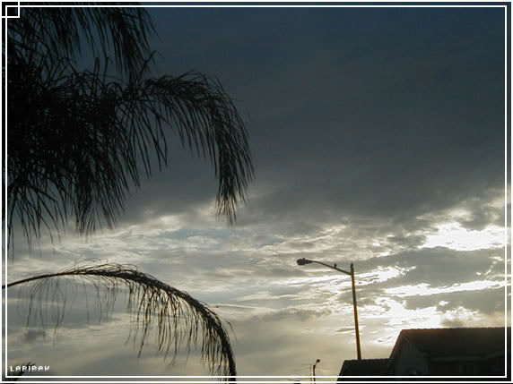 P1010612-1.jpg