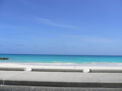 P1020009-3.jpg
