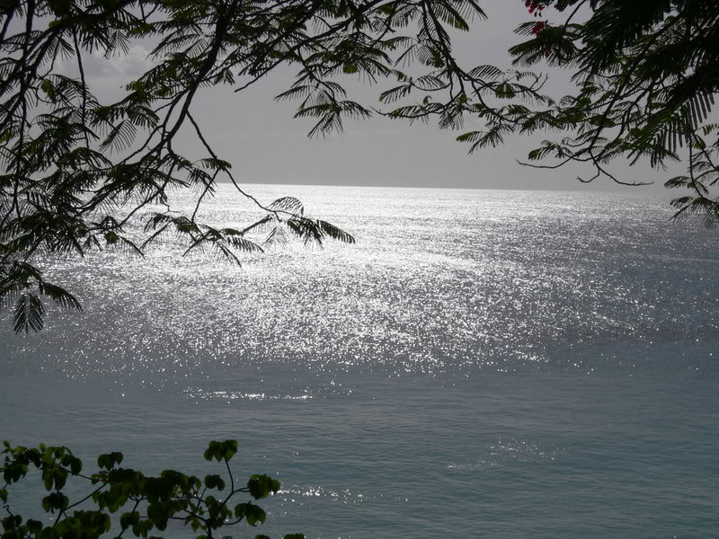 P1020022-1.jpg