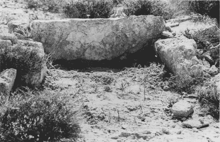 aqsa1a-2.gif
