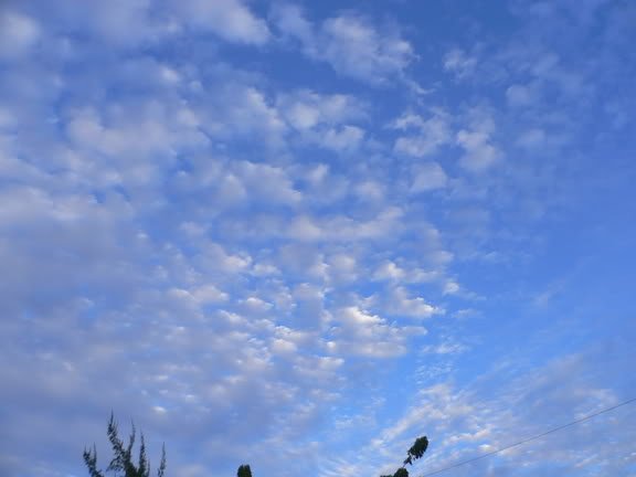 blueesky-1.jpg