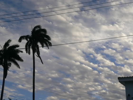 blueesky7-1.jpg