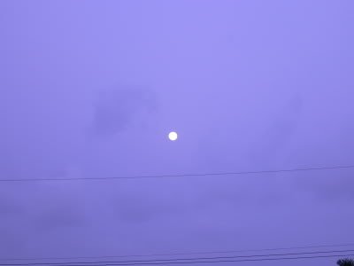 fullmoontoday 3 - Show us your Photography skills!