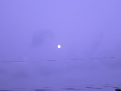fullmoontoday-3.jpg