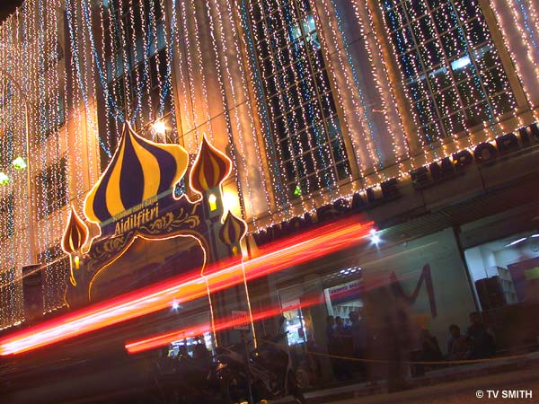 raya_lights-2.jpg