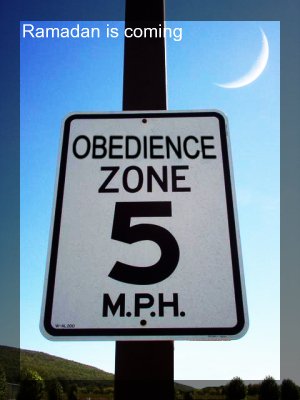 rmdn_obedience_zone-2.jpg
