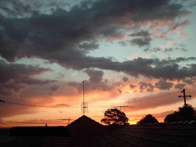 sunsetlarge-3.jpg