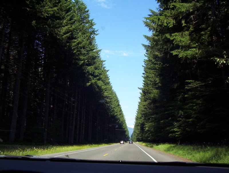 100_4080-1.jpg