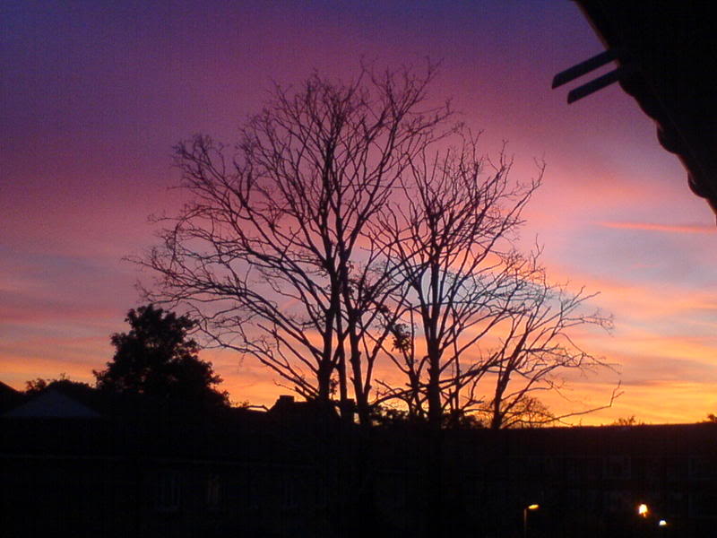 DSC00242-1.jpg