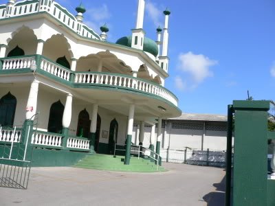 P1020012-1.jpg