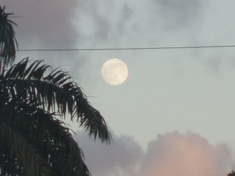 fullmoon2006november2-1.jpg