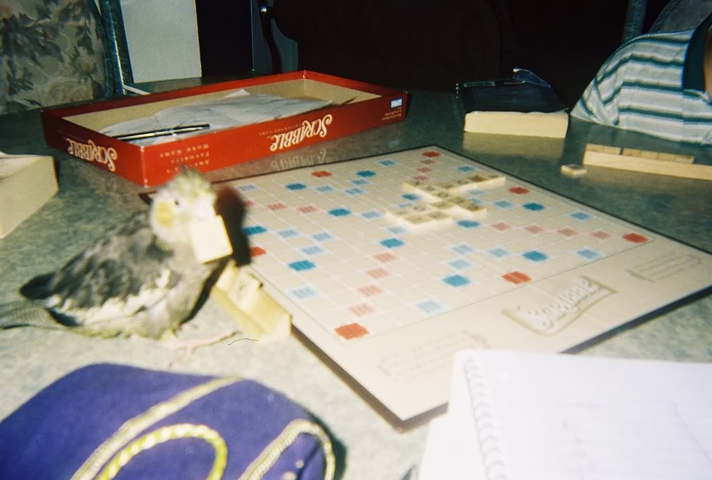 1292006011-2.jpg