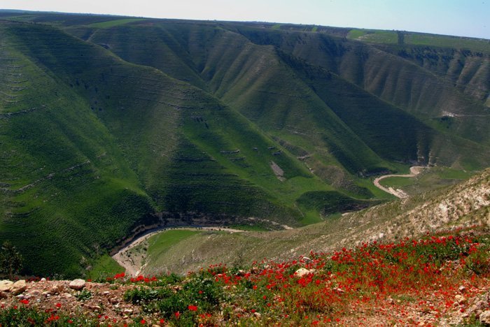 53093739Yarmoukvally6JPG-2.jpg
