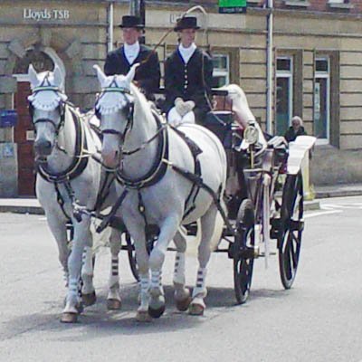 bride2sq-3.jpg
