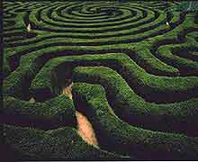 longleat_maze-3.jpg