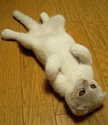 1166456859loafin_roundb-2.jpg