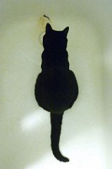 3509093_575e9eb4c9_m-3.jpg