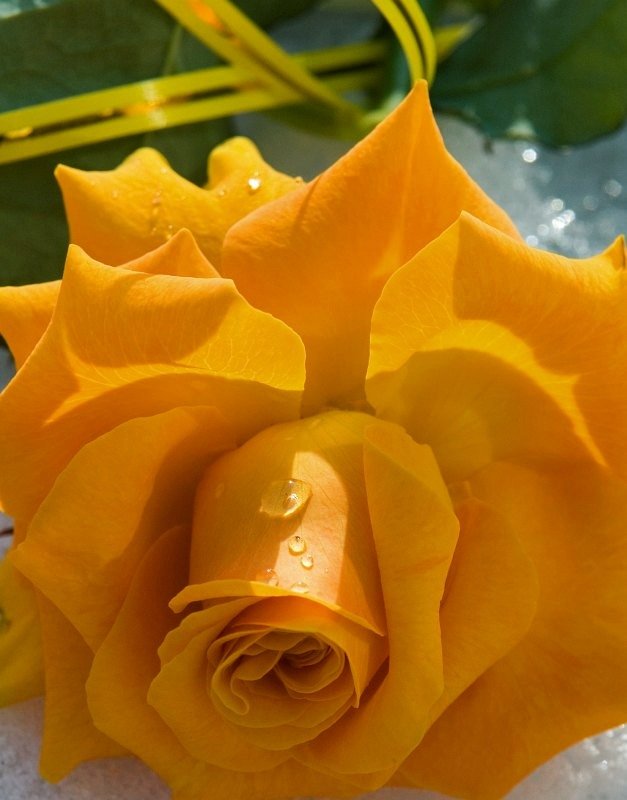 57148744DSC_7108_am1-1.jpg
