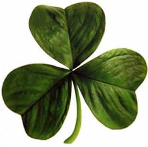 Irish_clover-3.jpg