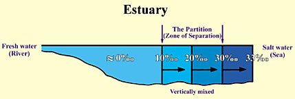 ch11eimg2 1 - Which body of water is it?