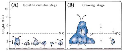 ch11gimg3 1 - *!* The Scientific Miracles *!*