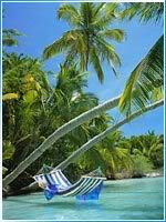 maldivesbeach-1.jpg