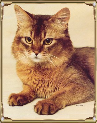 FoxtailRioGrande-1.jpg
