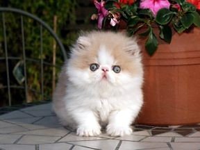 MustbeMagic_6weeks-1.jpg