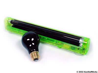 blacklight3-4.jpg