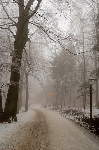switzerland-4.jpg