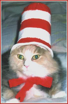 DelilahCatInHat-1.jpg