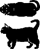detwt_overwtcat-1.gif