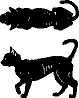 detwt_thincat-1.gif