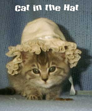 new_cat_in_hat-1.jpg