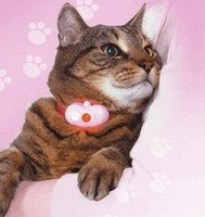 purrfectmooddetector_small-1.jpg