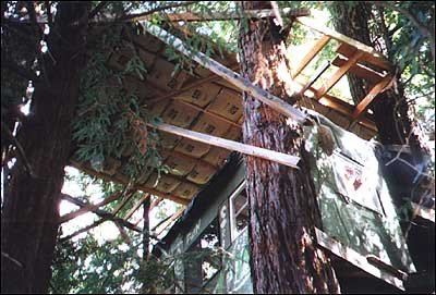 treehouse16-1.jpg
