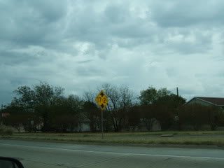 DSCF0239-1.jpg