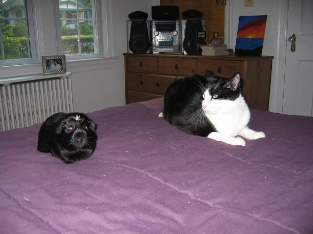 Susie_and_cat-1.jpg