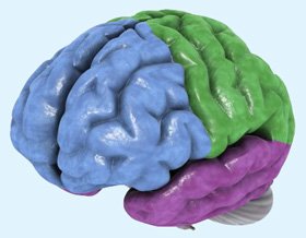 The_Quran_on_the_Cerebrum_001-1.jpg