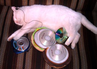 billy_music_cat-1.jpg