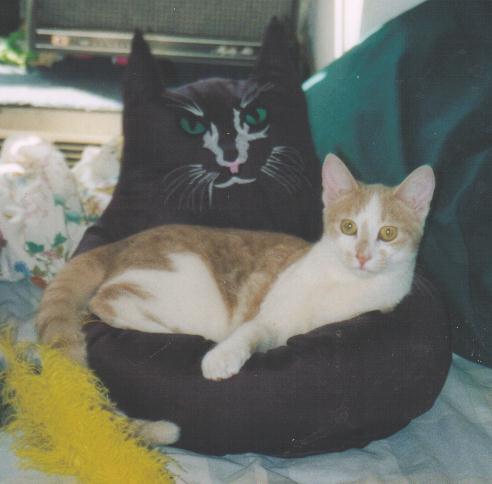 bunjibed-1.jpg