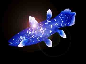 coelfish-1.jpg