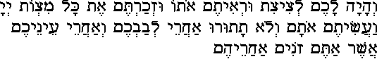 vhayah_lakhem-1.gif