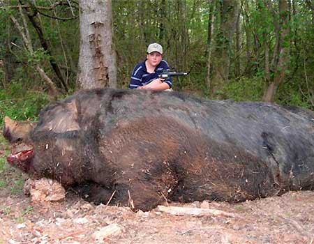 2_21_052507_MonsterPig-1.jpg